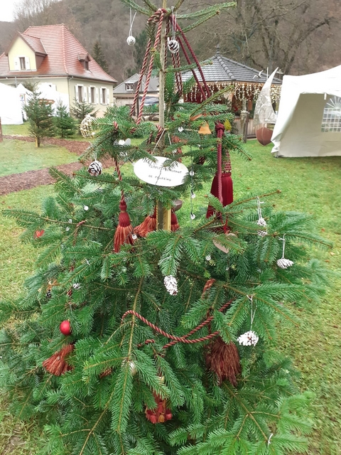 sapin