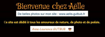 site à visiter
